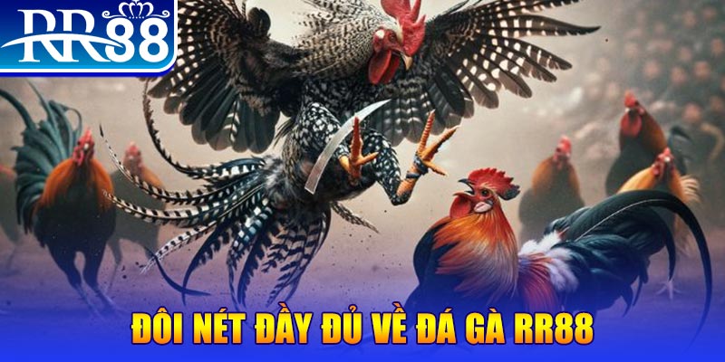 88clb gà chọi hoà phong
