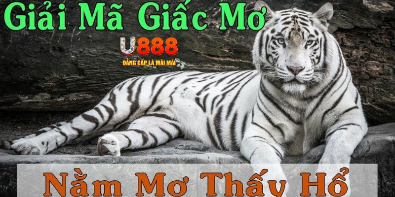 88clb Bài Poker Joker