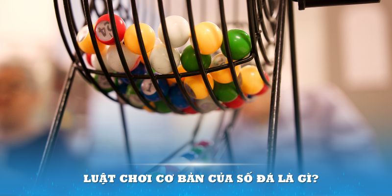 88clb Đĩa màu ace