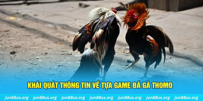 88clb bản tình ca mùa đông