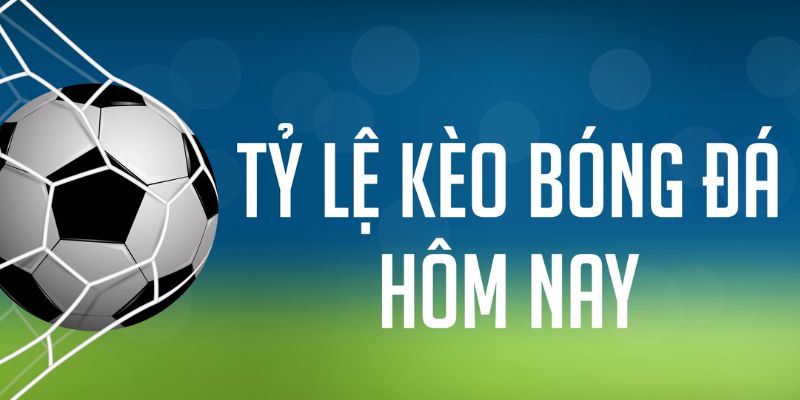 88clb ÁT CHỦ MÁY HOA QUẢ THẦN TÀI